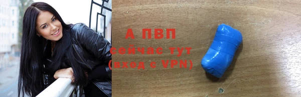 СК Алексин