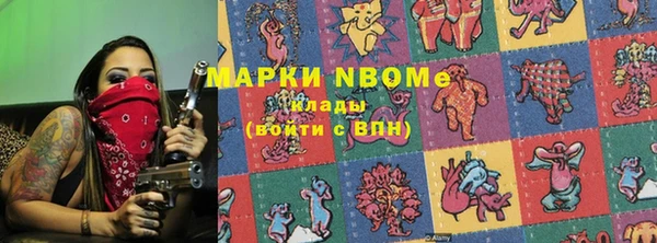 СК Алексин