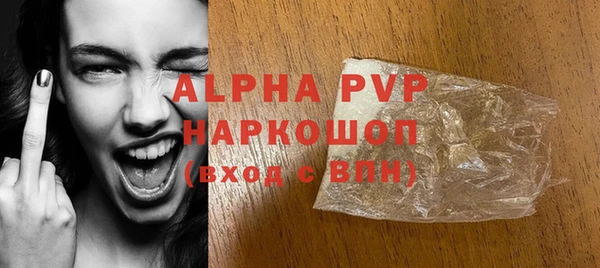 СК Алексин