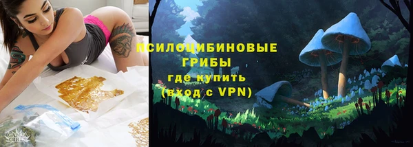 СК Алексин