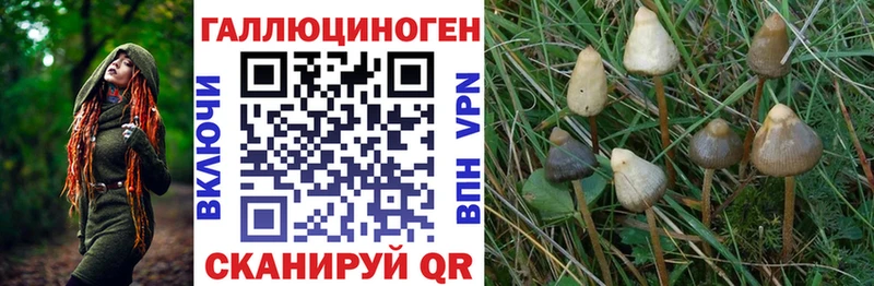 Галлюциногенные грибы Magic Shrooms  где найти наркотики  Алексеевка 